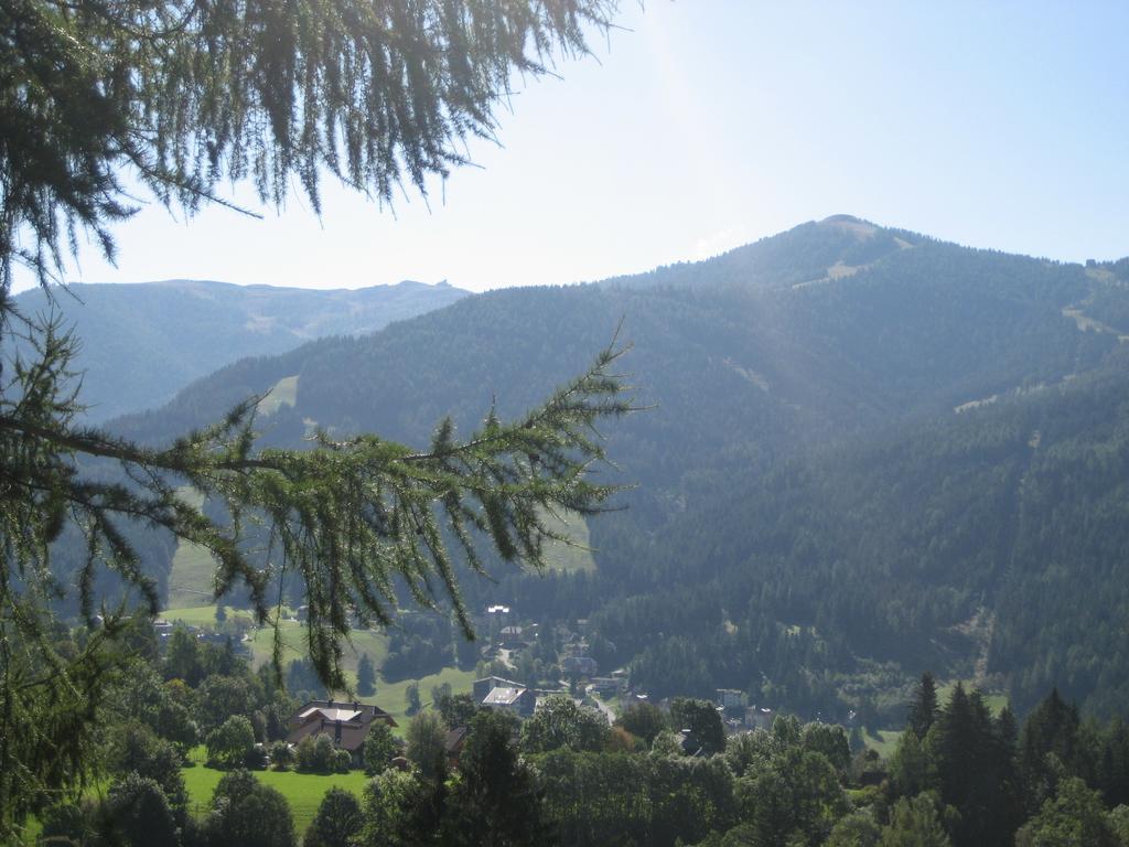 Ferienhaus Stiglitzweg Bad Kleinkirchheim Rum bild